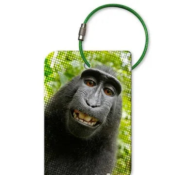 Retreev SMART Tag - Monkey